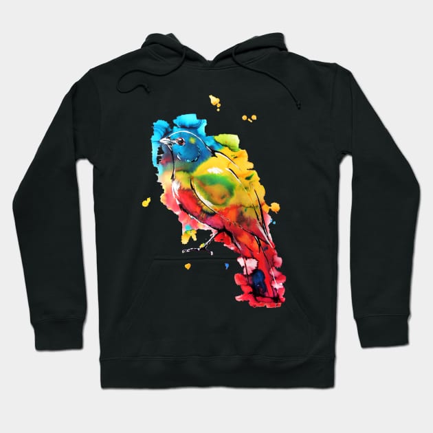 Painted Bunting Hoodie by 10000birds